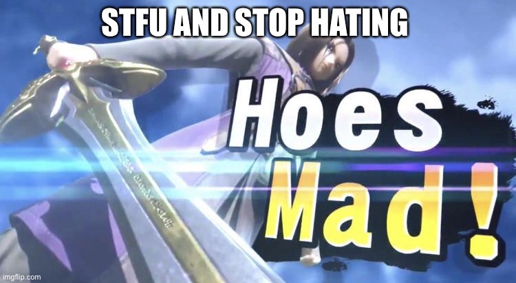 HOES MAD! | STFU AND STOP HATING | image tagged in hoes mad | made w/ Imgflip meme maker