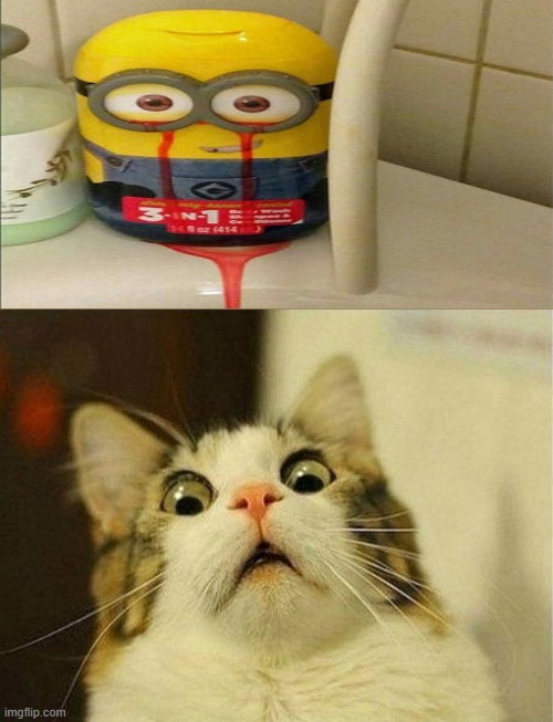 Scared Cat | image tagged in memes,scared cat,design fails | made w/ Imgflip meme maker