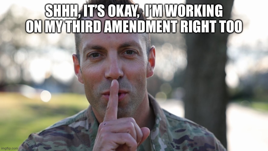 Third Amendment | SHHH, IT’S OKAY,  I’M WORKING ON MY THIRD AMENDMENT RIGHT TOO | image tagged in us army,military,army,family,gaming | made w/ Imgflip meme maker