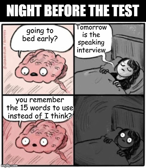 Brain Before Sleep | NIGHT BEFORE THE TEST; Tomorrow is the speaking interview; going to bed early? you remember the 15 words to use instead of I think? | image tagged in brain before sleep,ielts,speaking,english | made w/ Imgflip meme maker