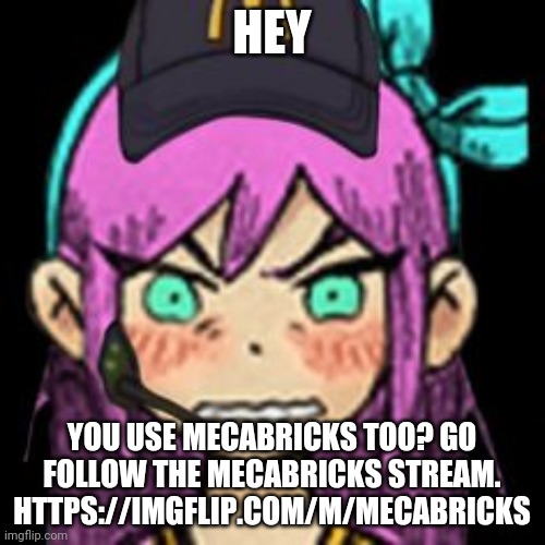 https://imgflip.com/m/Mecabricks | HEY; YOU USE MECABRICKS TOO? GO FOLLOW THE MECABRICKS STREAM. HTTPS://IMGFLIP.COM/M/MECABRICKS | image tagged in aubrey mcdonalds | made w/ Imgflip meme maker
