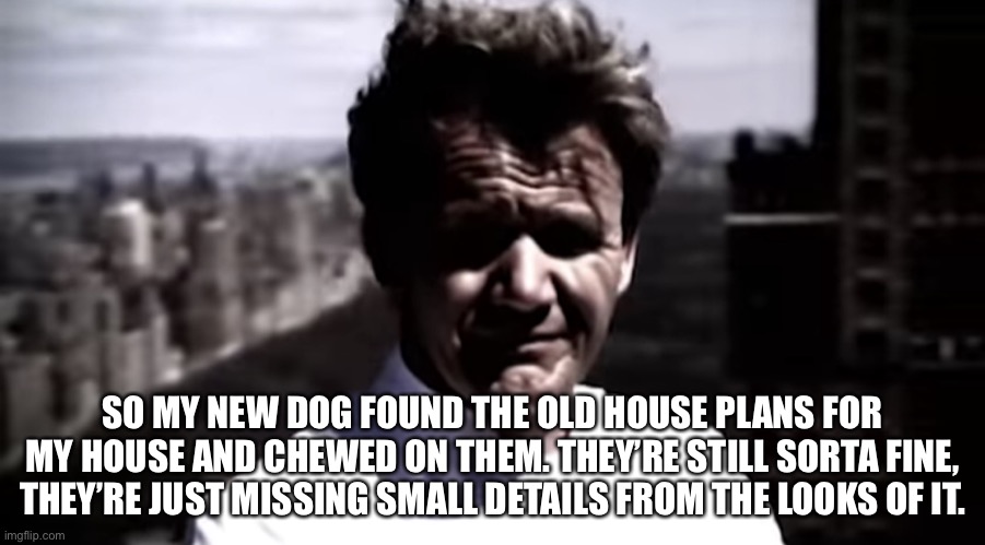 He also loves to destroy paper and wood | SO MY NEW DOG FOUND THE OLD HOUSE PLANS FOR MY HOUSE AND CHEWED ON THEM. THEY’RE STILL SORTA FINE, THEY’RE JUST MISSING SMALL DETAILS FROM THE LOOKS OF IT. | image tagged in emotionally destroyed gordon | made w/ Imgflip meme maker