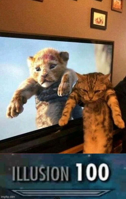 illusion 100 | image tagged in illusion 100,the lion king,cat | made w/ Imgflip meme maker