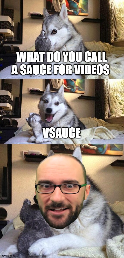finally a sauce for videos | WHAT DO YOU CALL A SAUCE FOR VIDEOS; VSAUCE | image tagged in memes,bad pun dog,vsauce | made w/ Imgflip meme maker