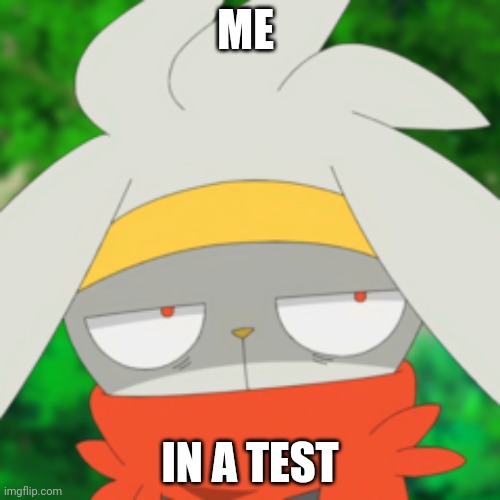 Anxiety Bunny | ME; IN A TEST | image tagged in anxiety bunny | made w/ Imgflip meme maker