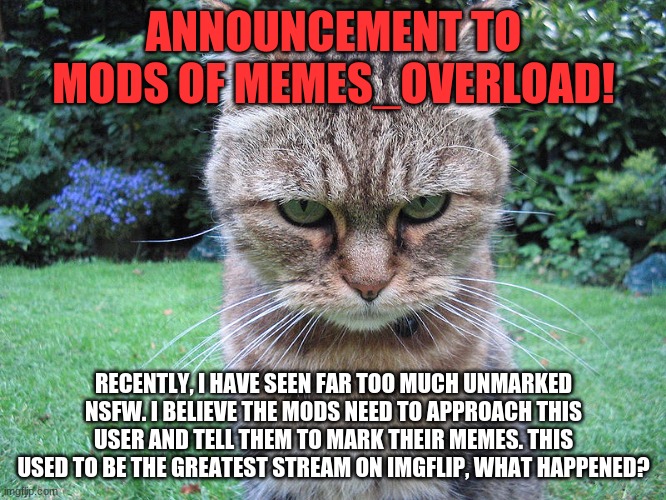 Some days, the Dark-Humor stream is cleaner than this. | ANNOUNCEMENT TO MODS OF MEMES_OVERLOAD! RECENTLY, I HAVE SEEN FAR TOO MUCH UNMARKED NSFW. I BELIEVE THE MODS NEED TO APPROACH THIS USER AND TELL THEM TO MARK THEIR MEMES. THIS USED TO BE THE GREATEST STREAM ON IMGFLIP, WHAT HAPPENED? | image tagged in mad cat | made w/ Imgflip meme maker