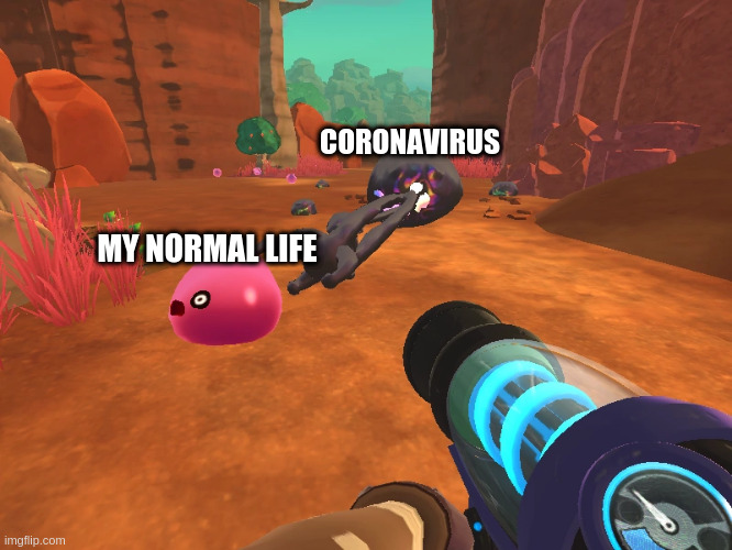 I hate quarantine | CORONAVIRUS; MY NORMAL LIFE | image tagged in slime,rancher,slime rancher,attack,fear,tarr | made w/ Imgflip meme maker
