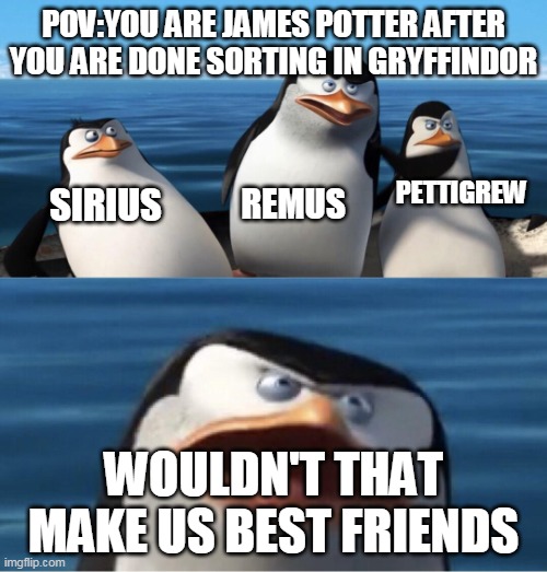 yeet | POV:YOU ARE JAMES POTTER AFTER YOU ARE DONE SORTING IN GRYFFINDOR; PETTIGREW; REMUS; SIRIUS; WOULDN'T THAT MAKE US BEST FRIENDS | image tagged in wouldn't that make you | made w/ Imgflip meme maker
