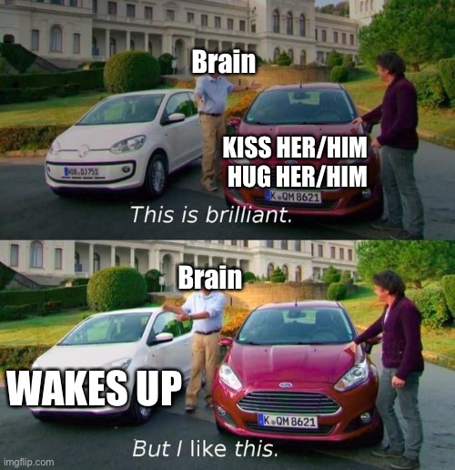 When you see your crush in your dream | Brain; KISS HER/HIM  HUG HER/HIM; Brain; WAKES UP | image tagged in this is brilliant but i like this | made w/ Imgflip meme maker