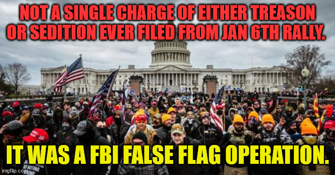 Jan 6th | NOT A SINGLE CHARGE OF EITHER TREASON OR SEDITION EVER FILED FROM JAN 6TH RALLY. IT WAS A FBI FALSE FLAG OPERATION. | image tagged in jan 6th | made w/ Imgflip meme maker
