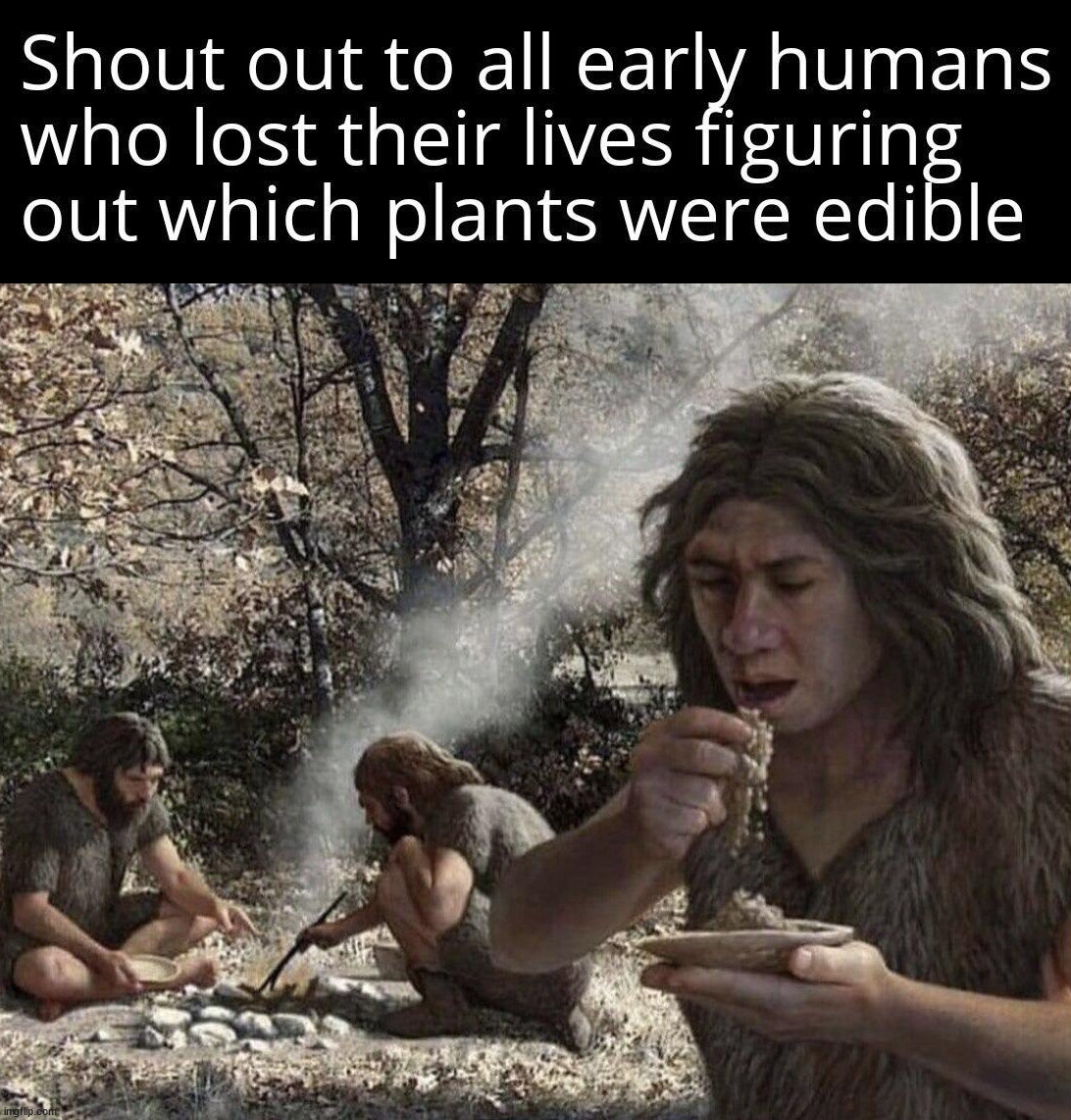 Well they did not die | image tagged in food,cavemen | made w/ Imgflip meme maker