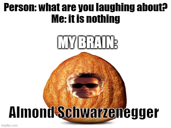 Get to the almond | Person: what are you laughing about?

Me: it is nothing; MY BRAIN:; Almond Schwarzenegger | image tagged in teacher what are you laughing at | made w/ Imgflip meme maker