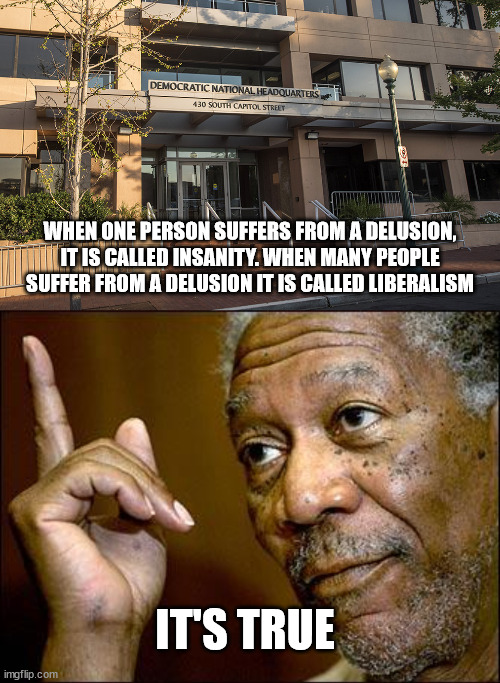 Insane | WHEN ONE PERSON SUFFERS FROM A DELUSION, IT IS CALLED INSANITY. WHEN MANY PEOPLE SUFFER FROM A DELUSION IT IS CALLED LIBERALISM; IT'S TRUE | image tagged in democrats,stupid liberals | made w/ Imgflip meme maker