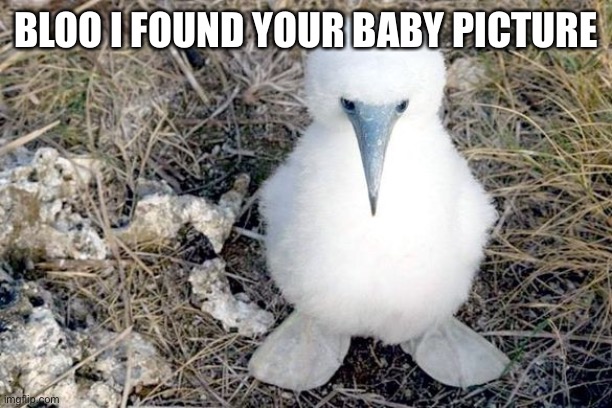 BLOO I FOUND YOUR BABY PICTURE | made w/ Imgflip meme maker
