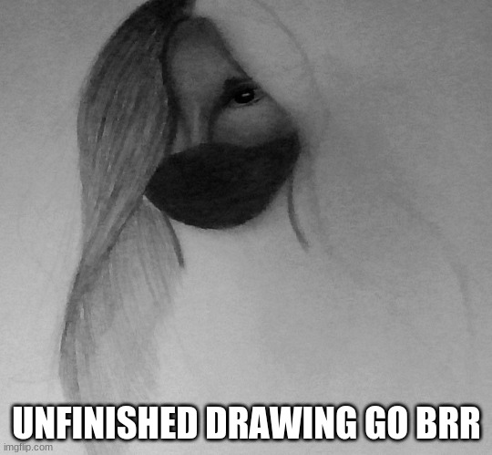 UNFINISHED DRAWING GO BRR | made w/ Imgflip meme maker