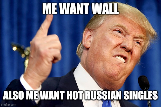 Donald Trump | ME WANT WALL; ALSO ME WANT HOT RUSSIAN SINGLES | image tagged in donald trump | made w/ Imgflip meme maker