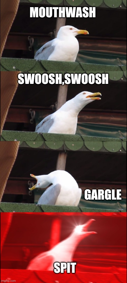 Inhaling Seagull Meme | MOUTHWASH; SWOOSH,SWOOSH; GARGLE; SPIT | image tagged in memes,inhaling seagull | made w/ Imgflip meme maker