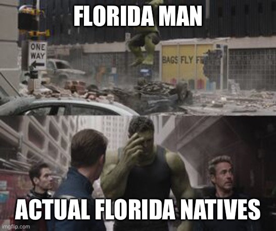 F l o r i d a, Florida state, Florida state, ooooo | FLORIDA MAN; ACTUAL FLORIDA NATIVES | image tagged in regretful hulk | made w/ Imgflip meme maker