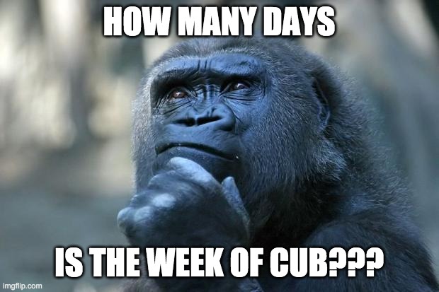 Deep Thoughts | HOW MANY DAYS; IS THE WEEK OF CUB??? | image tagged in deep thoughts | made w/ Imgflip meme maker