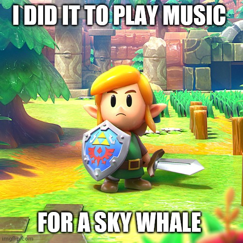 I DID IT TO PLAY MUSIC FOR A SKY WHALE | made w/ Imgflip meme maker