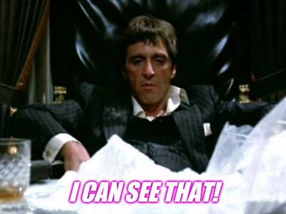 Scarface Cocaine | I CAN SEE THAT! | image tagged in scarface cocaine | made w/ Imgflip meme maker