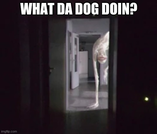 The anxious dog | WHAT DA DOG DOIN? | image tagged in the anxious dog | made w/ Imgflip meme maker