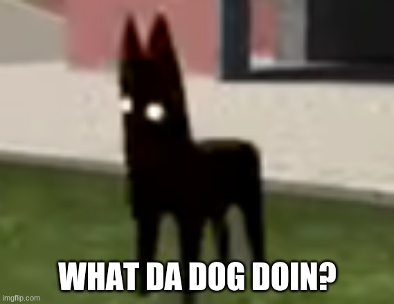 Good Boy | WHAT DA DOG DOIN? | image tagged in good boy | made w/ Imgflip meme maker