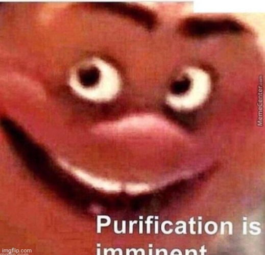 Purification is imminent | image tagged in purification is imminent | made w/ Imgflip meme maker