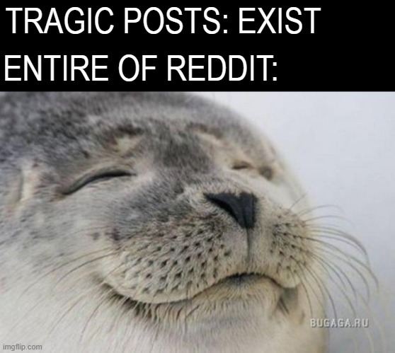 wholesome award | TRAGIC POSTS: EXIST; ENTIRE OF REDDIT: | image tagged in happy seal,satisfied seal,reddit,funny memes,funny,memes | made w/ Imgflip meme maker