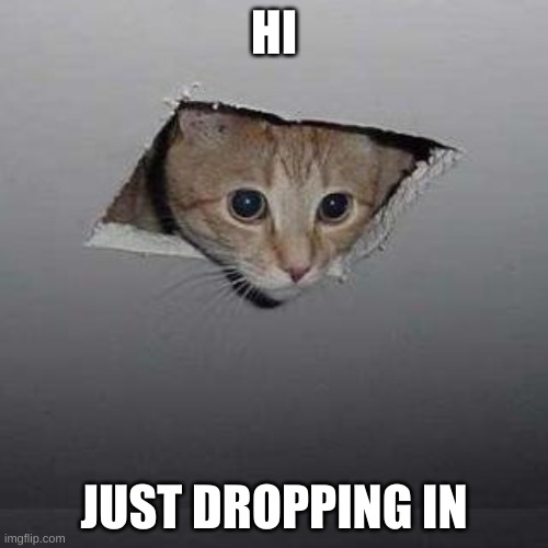 Ceiling Cat Meme | HI; JUST DROPPING IN | image tagged in memes,ceiling cat | made w/ Imgflip meme maker