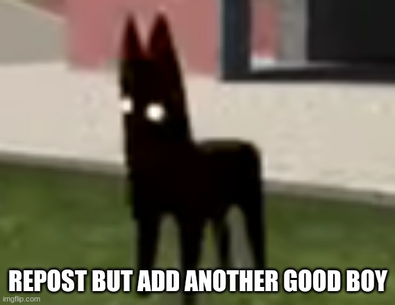 Good Boy | REPOST BUT ADD ANOTHER GOOD BOY | image tagged in good boy | made w/ Imgflip meme maker