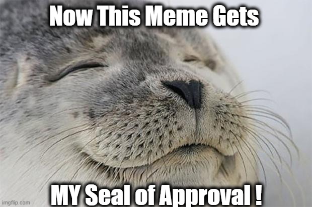 Satisfied Seal Meme | Now This Meme Gets MY Seal of Approval ! | image tagged in memes,satisfied seal | made w/ Imgflip meme maker