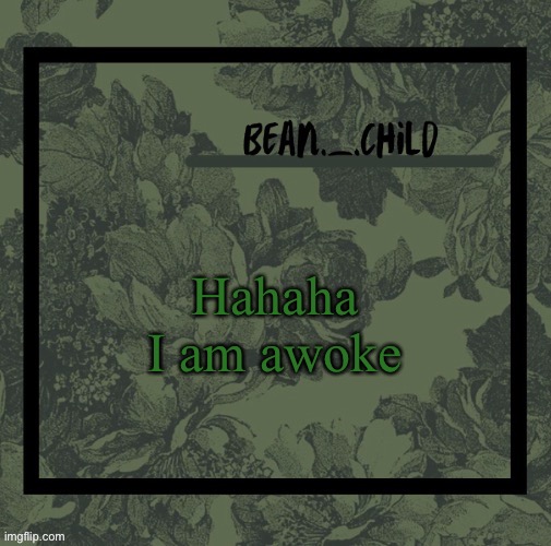 Hahaha I am awoke | image tagged in beans army green temp | made w/ Imgflip meme maker