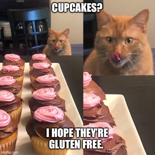 Cupcake cat | CUPCAKES? I HOPE THEY’RE GLUTEN FREE. | image tagged in cupcake cat | made w/ Imgflip meme maker