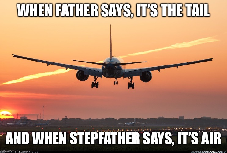 A Dime | WHEN FATHER SAYS, IT’S THE TAIL; AND WHEN STEPFATHER SAYS, IT’S AIR | image tagged in tail,air,plane | made w/ Imgflip meme maker