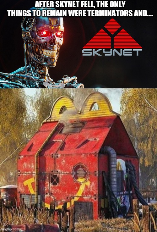 AFTER SKYNET FELL, THE ONLY THINGS TO REMAIN WERE TERMINATORS AND.... | image tagged in funny memes | made w/ Imgflip meme maker