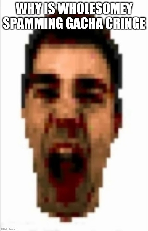 Ralphis' Head | WHY IS WHOLESOMEY SPAMMING GACHA CRINGE | image tagged in ralphis' head | made w/ Imgflip meme maker