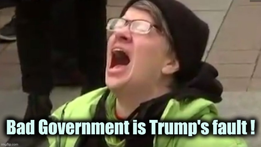 Screaming Liberal  | Bad Government is Trump's fault ! | image tagged in screaming liberal | made w/ Imgflip meme maker