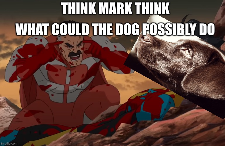 what da dog | WHAT COULD THE DOG POSSIBLY DO; THINK MARK THINK | image tagged in think mark think | made w/ Imgflip meme maker