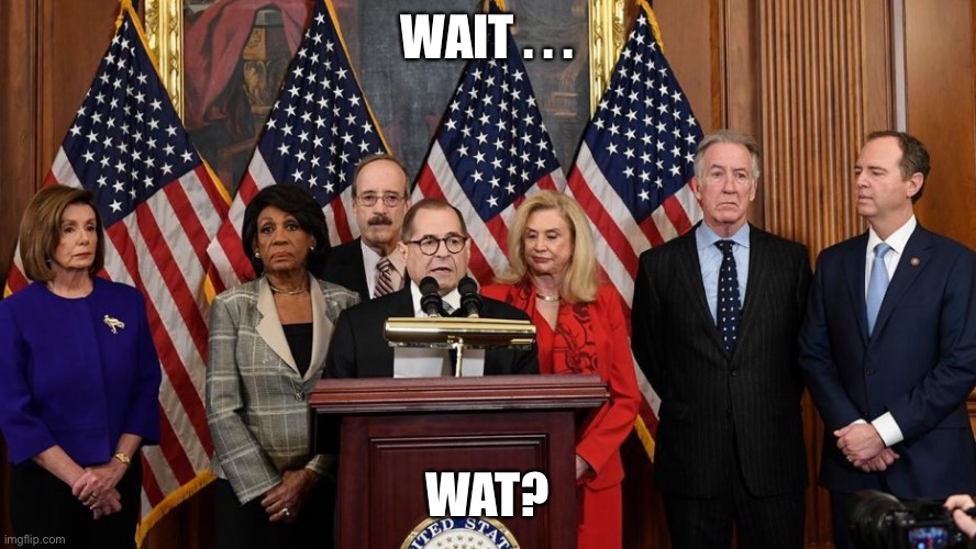 House Democrats | WAIT . . . WAT? | image tagged in house democrats | made w/ Imgflip meme maker