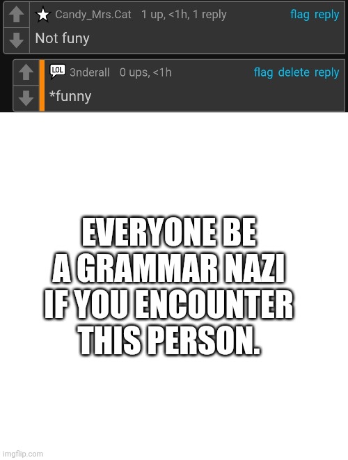EVERYONE BE A GRAMMAR NAZI IF YOU ENCOUNTER THIS PERSON. | image tagged in memes,blank transparent square | made w/ Imgflip meme maker