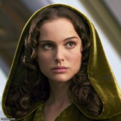 Natalie's beautiful hair! | image tagged in natalie portman,hair,star wars,11 outta 10 | made w/ Imgflip meme maker