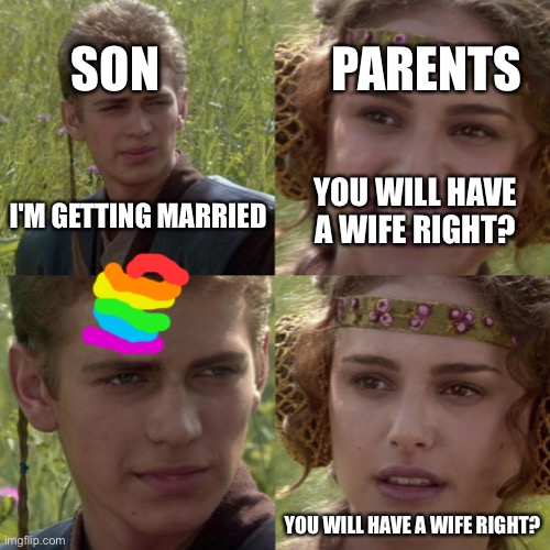 gay is great, ally is great too | SON; PARENTS; I'M GETTING MARRIED; YOU WILL HAVE A WIFE RIGHT? YOU WILL HAVE A WIFE RIGHT? | image tagged in closeted gay,marriage,gay marriage | made w/ Imgflip meme maker