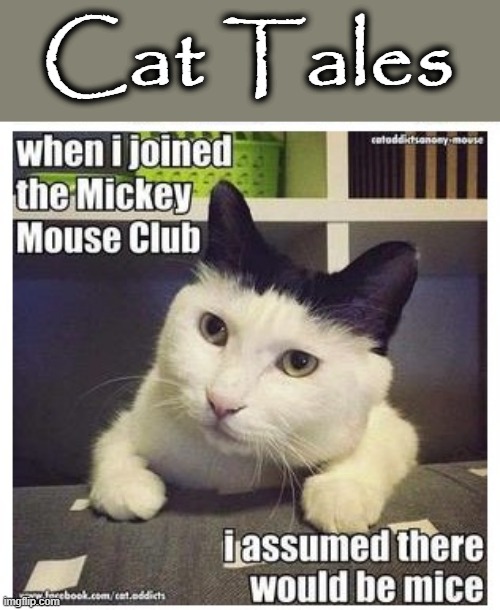 Cat Tales | Cat Tales | image tagged in how to kill with mickey mouse | made w/ Imgflip meme maker