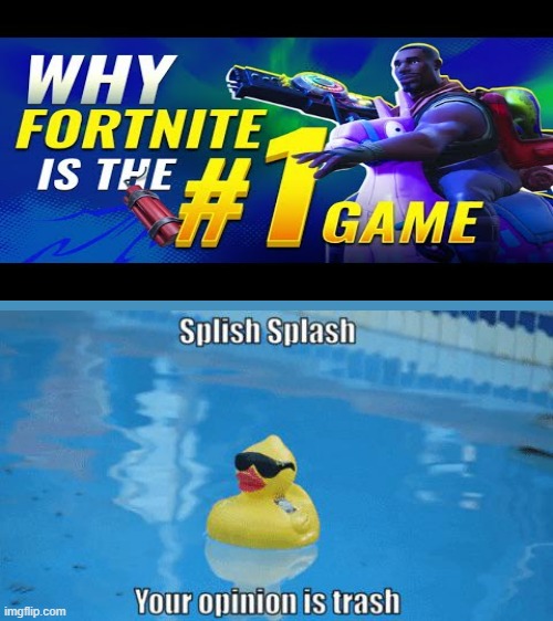 fortnite is bad | image tagged in splish splash your opinion is trash | made w/ Imgflip meme maker