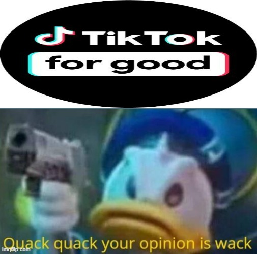 tiktok is bad | image tagged in quack quack your opinion is wack | made w/ Imgflip meme maker