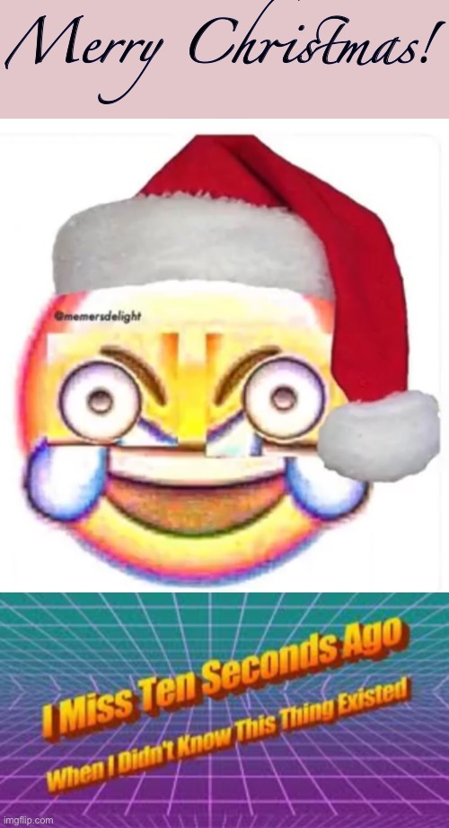 Merry Christmas | Merry Christmas! | image tagged in i miss ten seconds ago,why | made w/ Imgflip meme maker