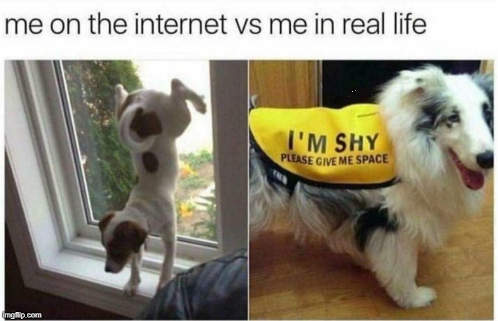 The Real You ! | image tagged in battle of the sexes | made w/ Imgflip meme maker
