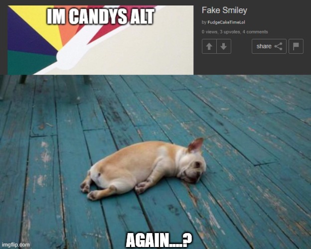 AGAIN....? | image tagged in tired dog | made w/ Imgflip meme maker