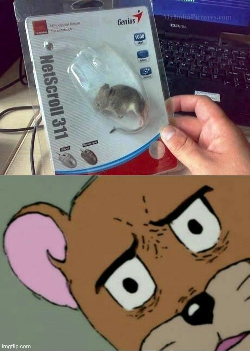 Mouse | image tagged in unsettled jerry,you had one job,memes,funny,mouse,you had one job just the one | made w/ Imgflip meme maker